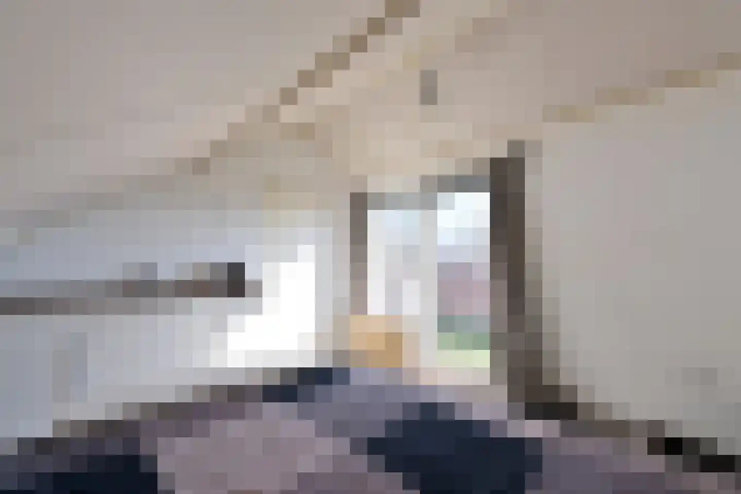 de Noord 6 Blaricum thumbnail 14