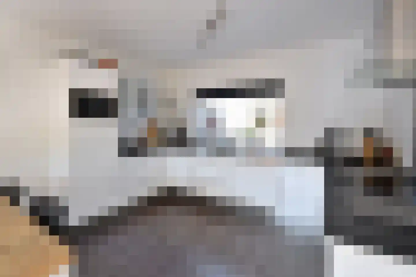 de Noord 6 Blaricum thumbnail 4