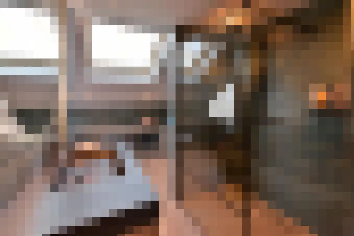 de Noord 6 Blaricum thumbnail 9