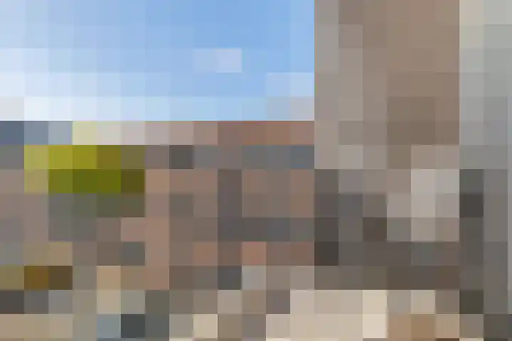 De Noord 64 E Dronten thumbnail 4