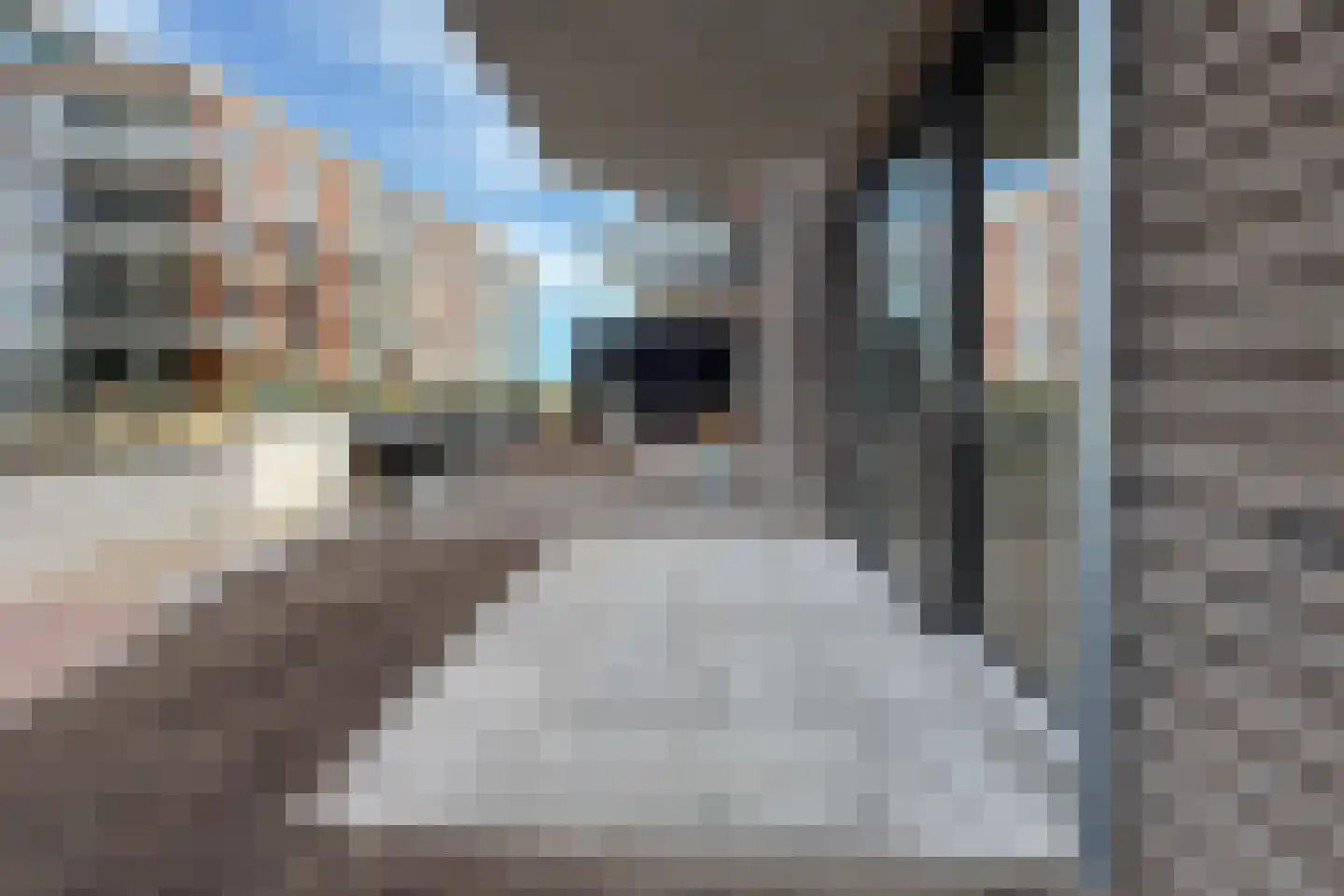 De Noord 67 Akersloot thumbnail 30