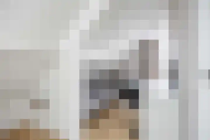 de Noord 67 Grootegast thumbnail 33