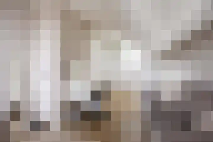 de Noord 67 Grootegast thumbnail 34
