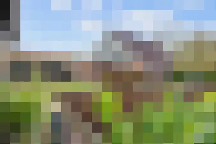 de Noord 67 Grootegast thumbnail 36