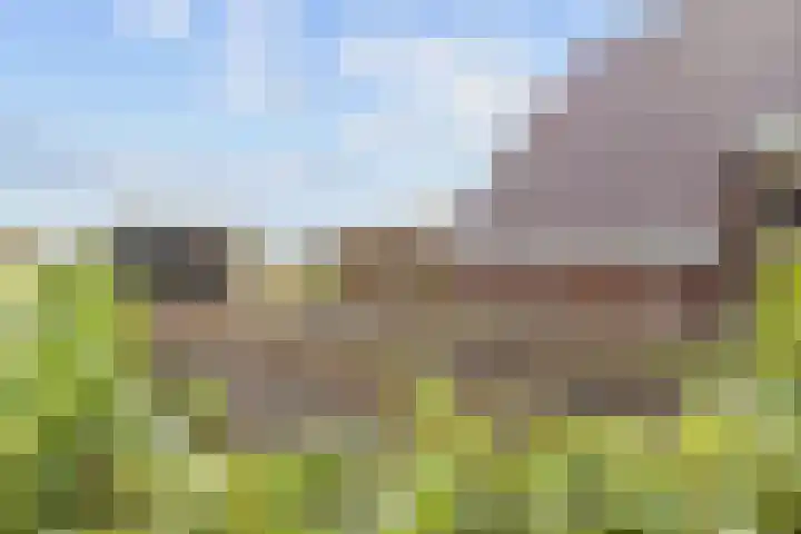 de Noord 67 Grootegast thumbnail 37