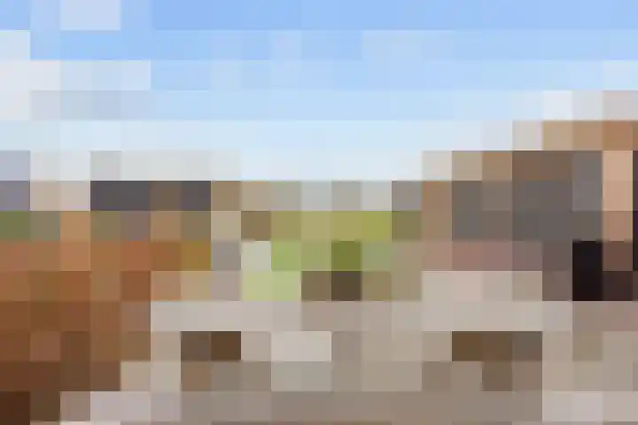 de Noord 67 Grootegast thumbnail 46