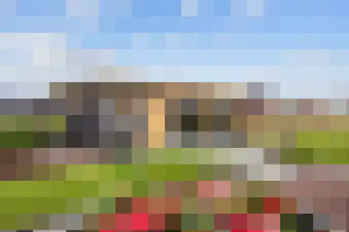 de Noord 67 Grootegast thumbnail 47