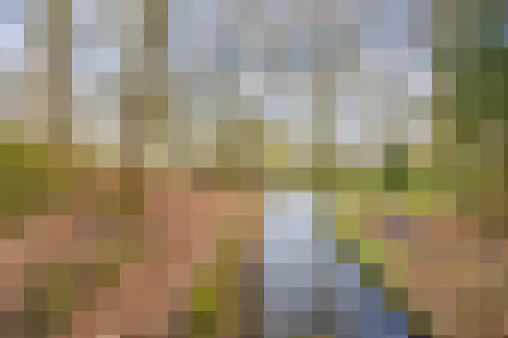 de Noord 67 Grootegast thumbnail 53