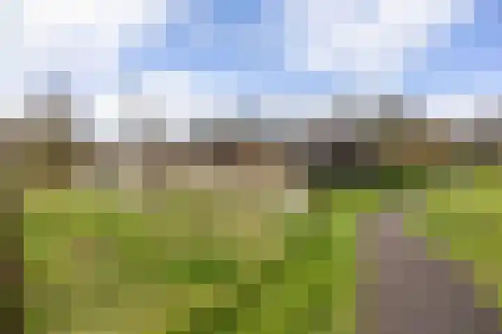 de Noord 67 Grootegast thumbnail 54