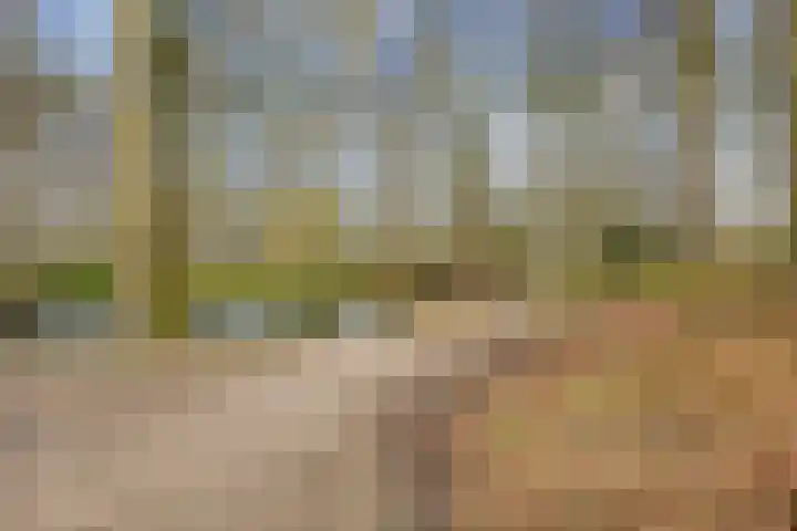 de Noord 67 Grootegast thumbnail 55