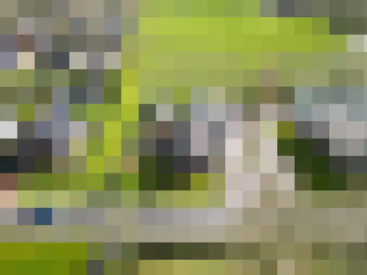 de Noord 67 Grootegast thumbnail 56