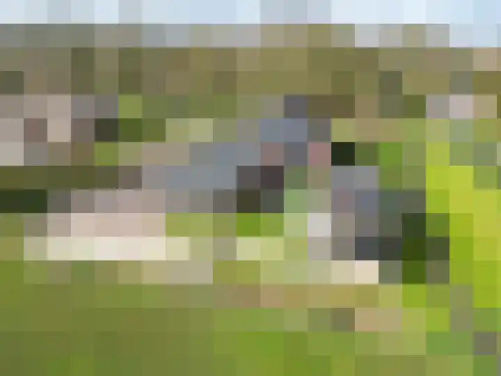 de Noord 67 Grootegast thumbnail 57