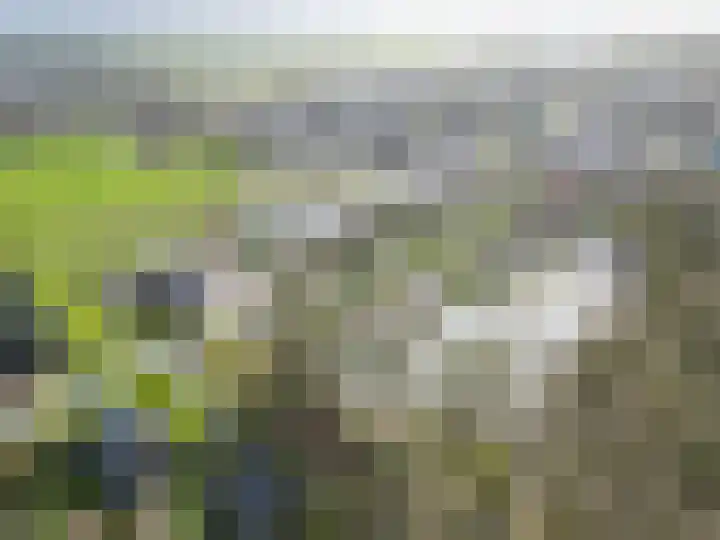 de Noord 67 Grootegast thumbnail 59