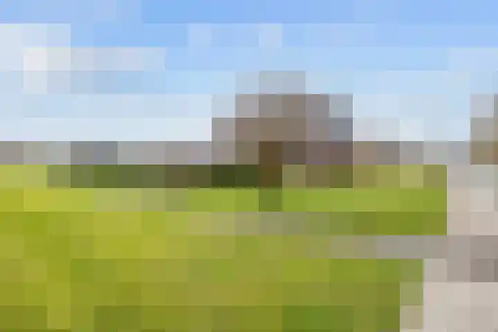 de Noord 67 Grootegast thumbnail 6