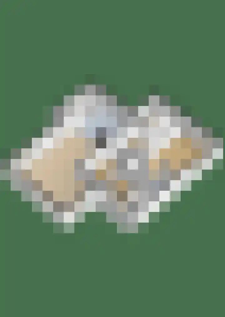 de Noord 67 Grootegast thumbnail 61