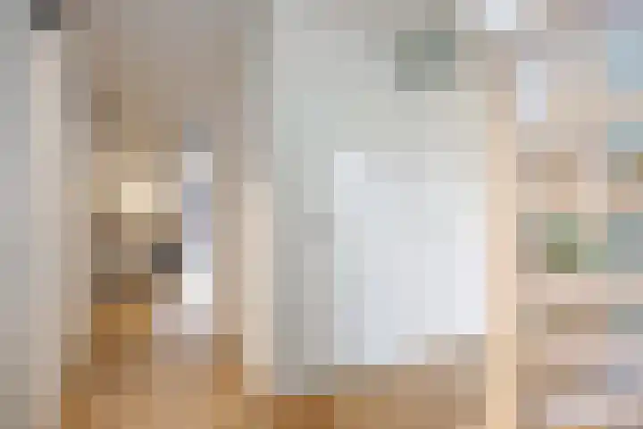 de Noord 67 Grootegast thumbnail 8