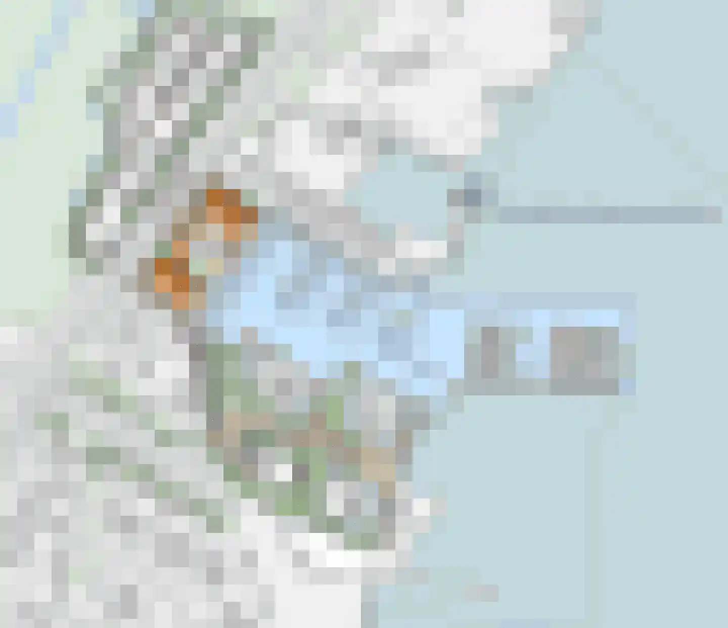 De Noord 69 Akersloot thumbnail 40