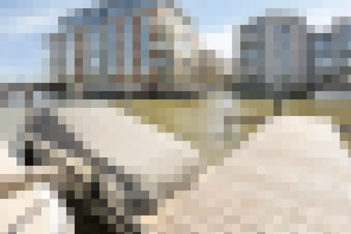 De Noord 72 Akersloot thumbnail 21