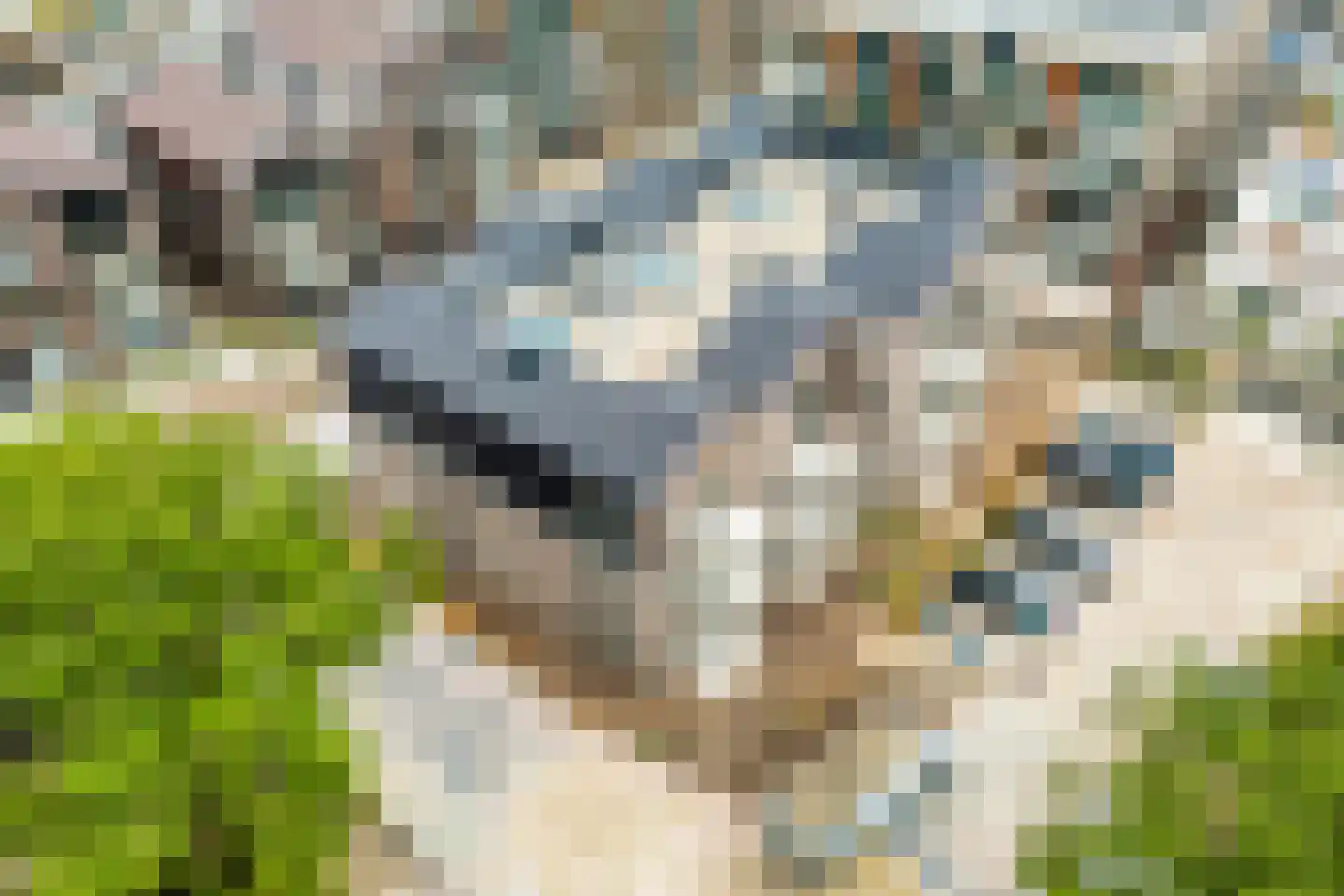 De Noord 72 Akersloot thumbnail 29
