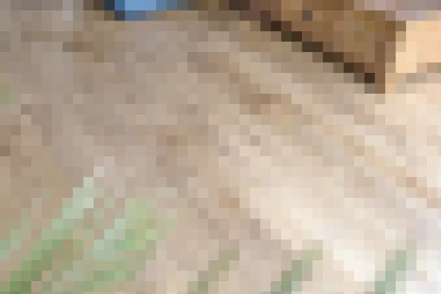 de Noordbank 13 Rozenburg thumbnail 16