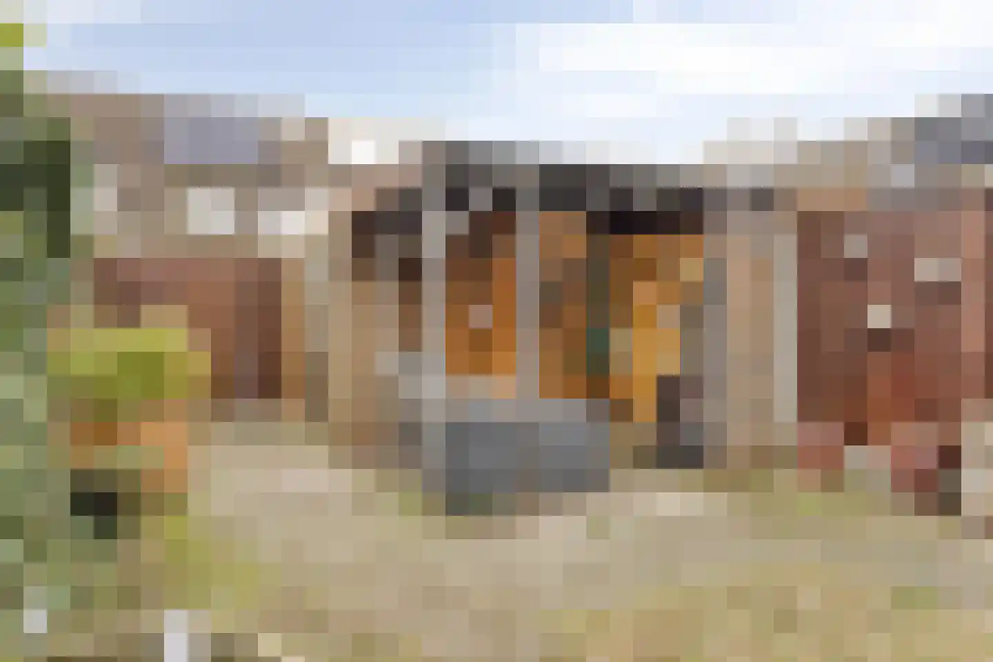 de Noordbank 13 Rozenburg thumbnail 32