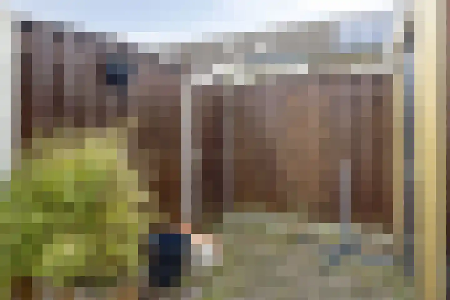 de Noordbank 13 Rozenburg thumbnail 33