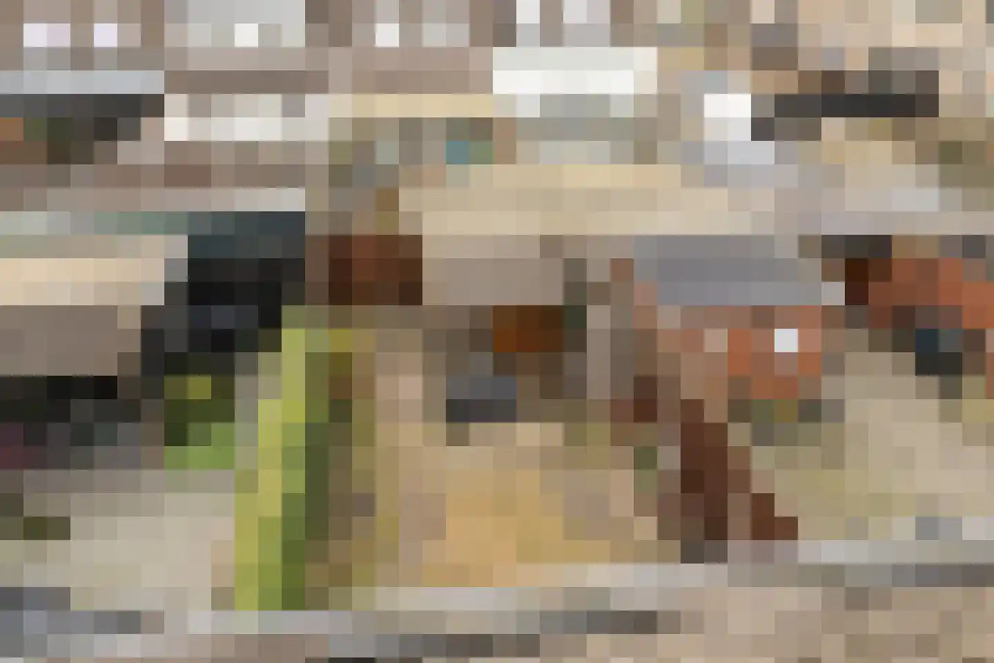 de Noordbank 13 Rozenburg thumbnail 34