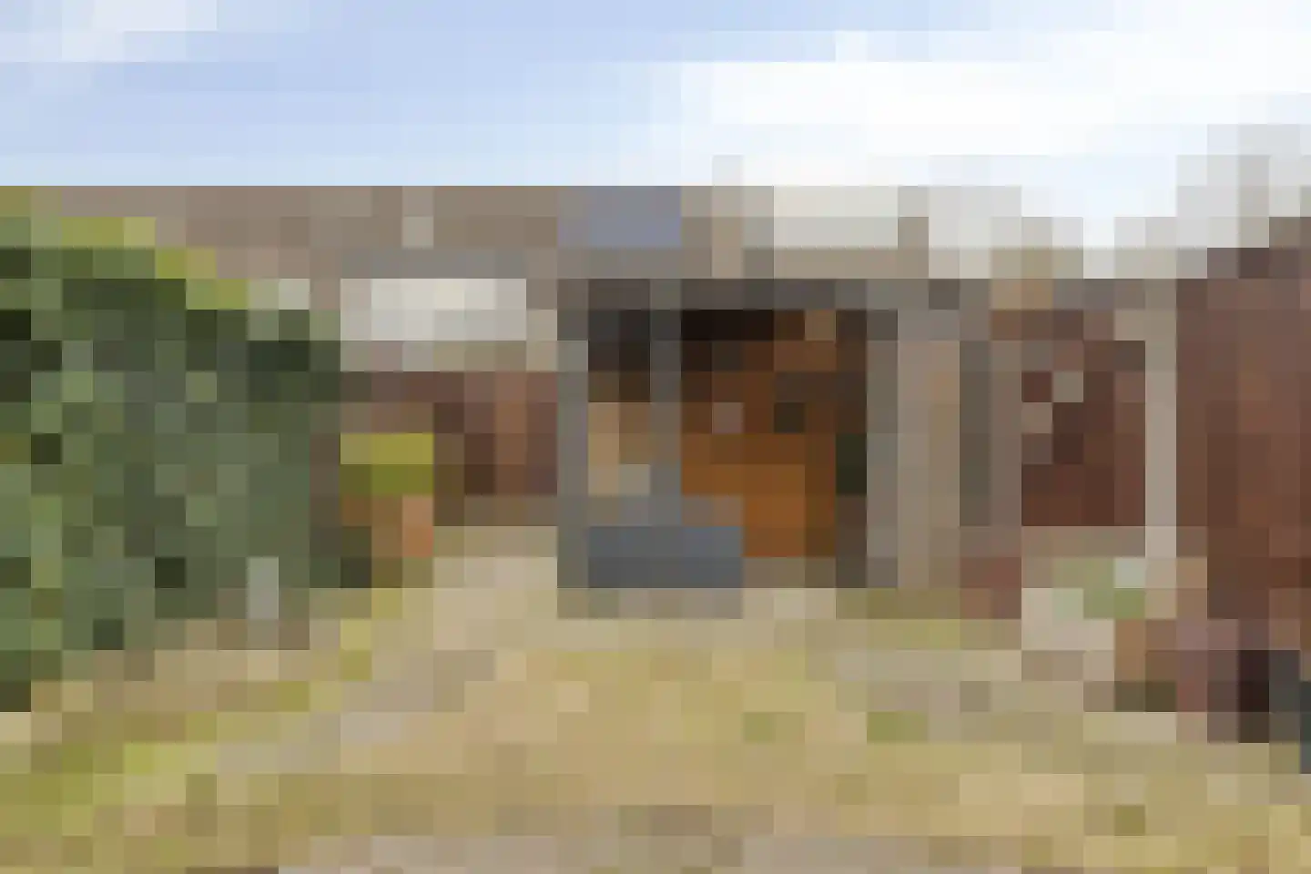 de Noordbank 13 Rozenburg thumbnail 5