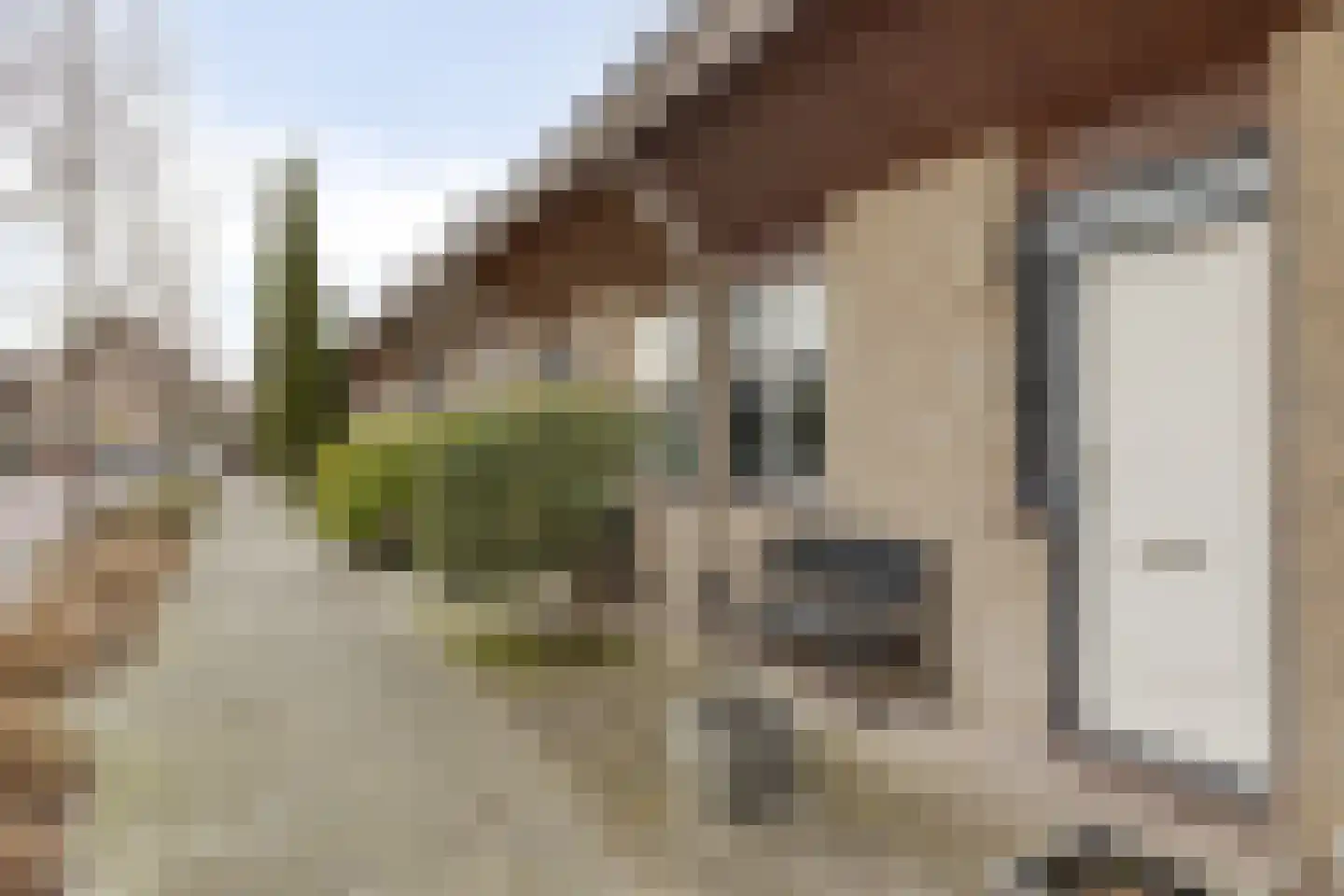 de Noordbank 13 Rozenburg thumbnail 9