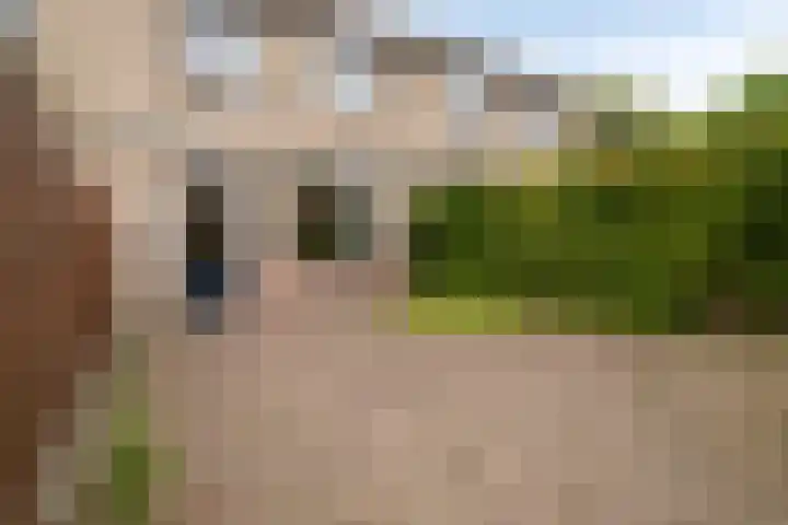 de Noordbank 19 Rozenburg thumbnail 26