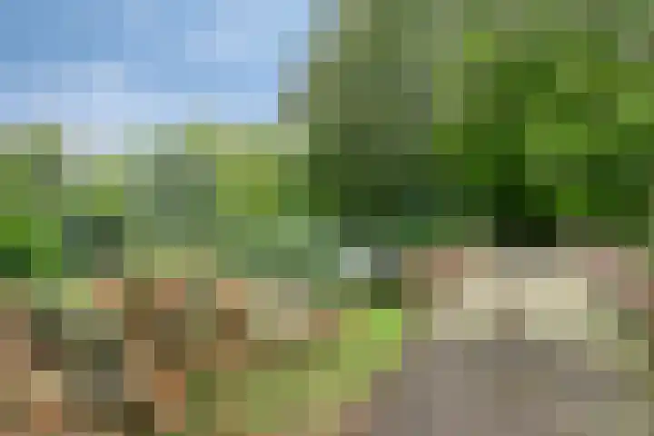 de Noordbank 19 Rozenburg thumbnail 30