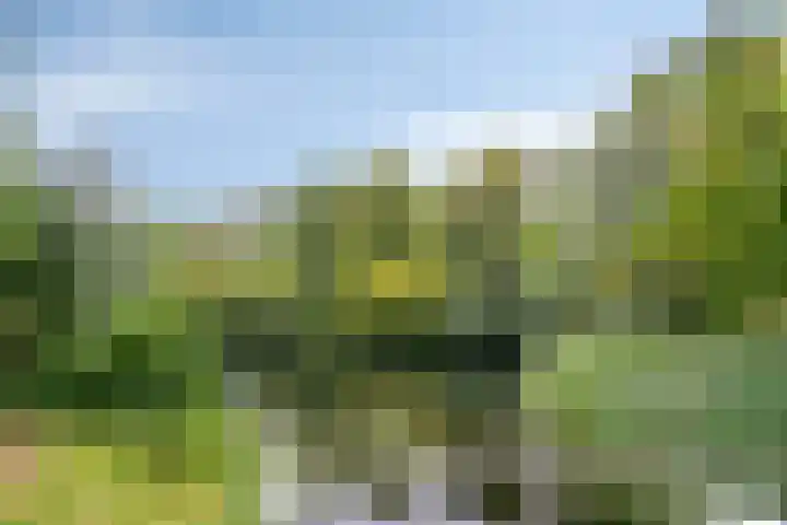 de Noordbank 19 Rozenburg thumbnail 31