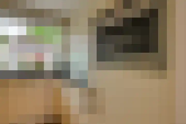 De Noorderhoek 10 Poeldijk thumbnail 6