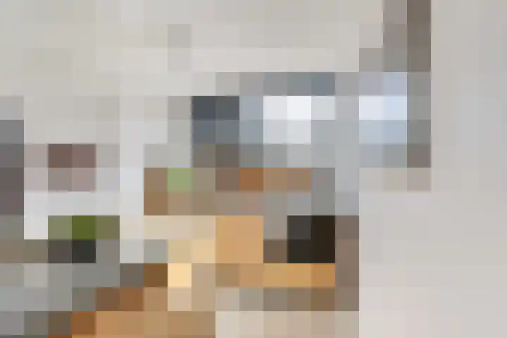 De Noorderhoek 15 Poeldijk thumbnail 11