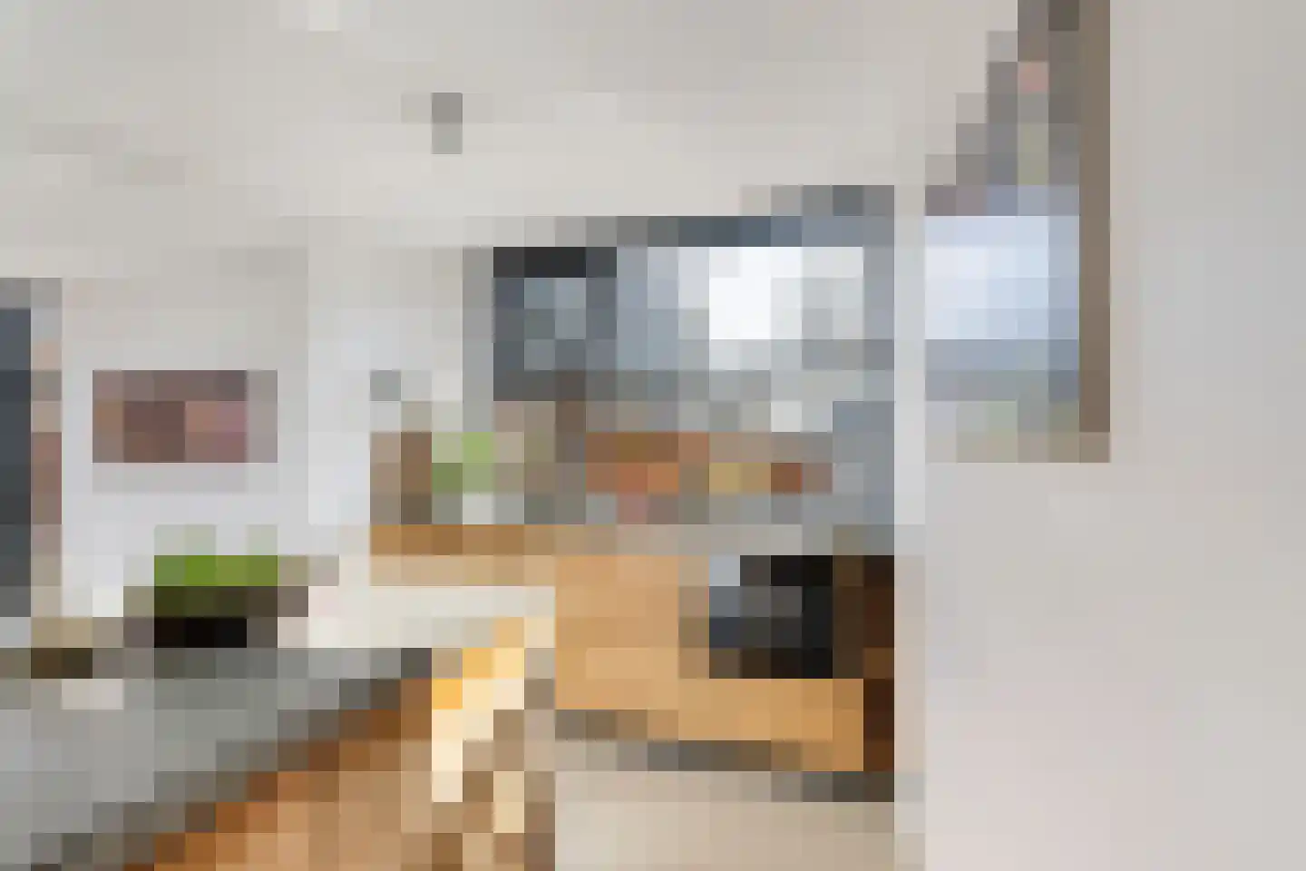De Noorderhoek 15 Poeldijk thumbnail 11