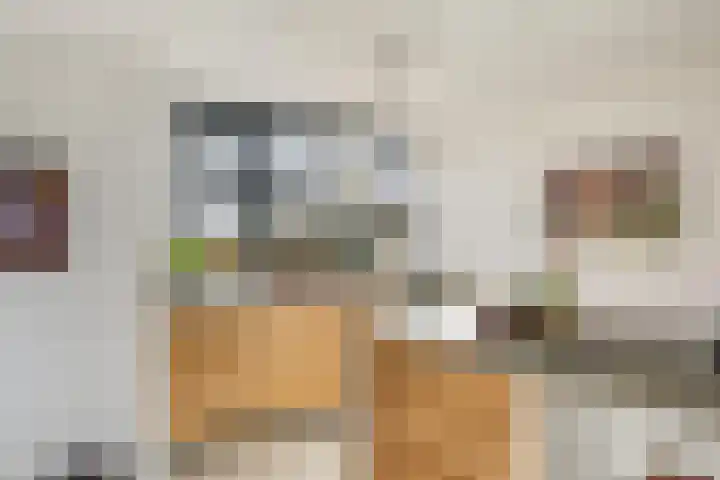De Noorderhoek 15 Poeldijk thumbnail 12