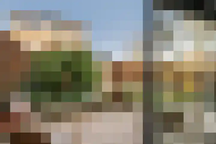De Noorderhoek 15 Poeldijk thumbnail 15