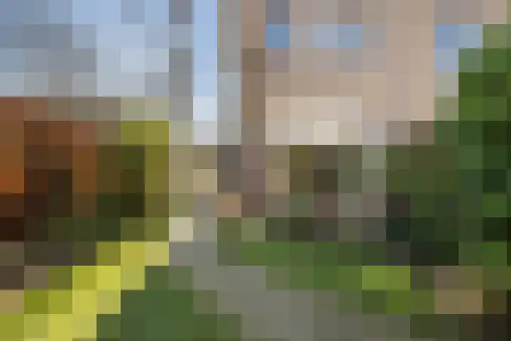 De Noorderhoek 15 Poeldijk thumbnail 16