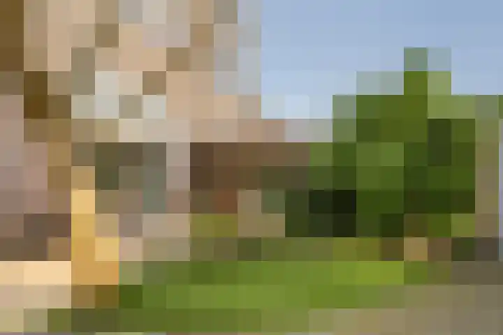De Noorderhoek 15 Poeldijk thumbnail 17