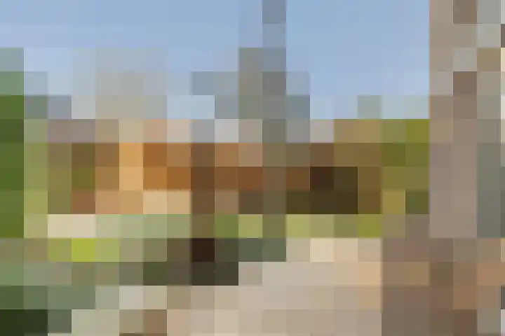 De Noorderhoek 15 Poeldijk thumbnail 18