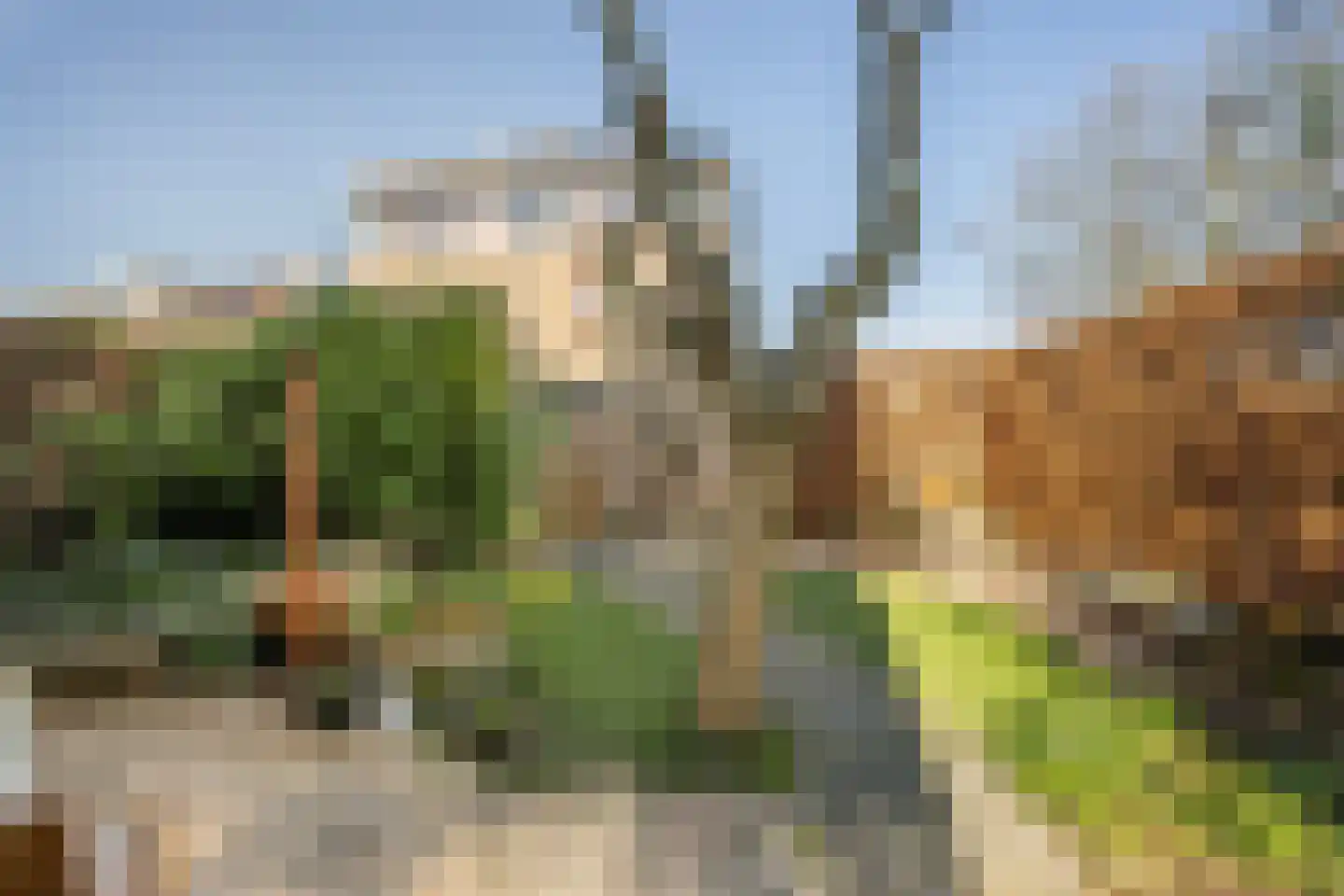 De Noorderhoek 15 Poeldijk thumbnail 20