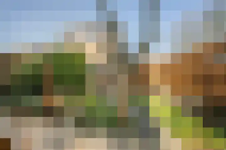 De Noorderhoek 15 Poeldijk thumbnail 20