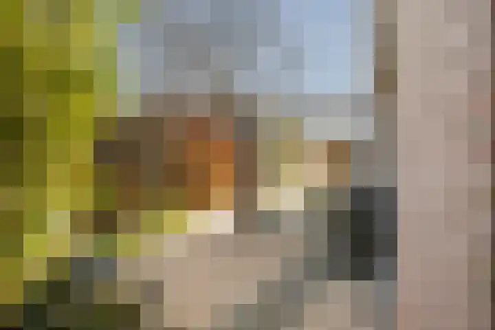 De Noorderhoek 15 Poeldijk thumbnail 21