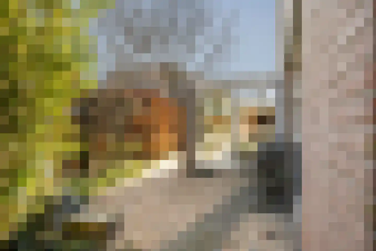 De Noorderhoek 15 Poeldijk thumbnail 21
