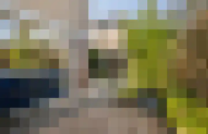 De Noorderhoek 15 Poeldijk thumbnail 22