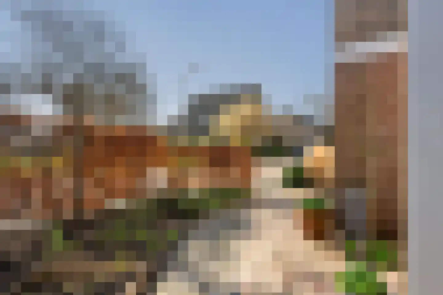 De Noorderhoek 15 Poeldijk thumbnail 23