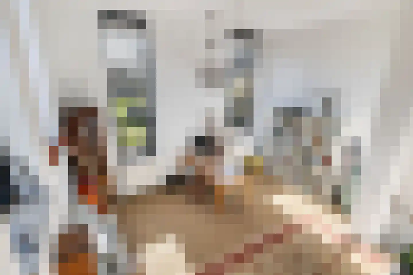 De Noorderhoek 15 Poeldijk thumbnail 32
