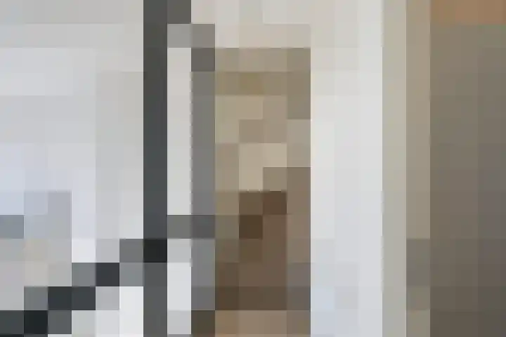 De Noorderhoek 15 Poeldijk thumbnail 34