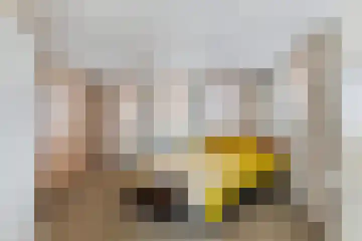 De Noorderhoek 15 Poeldijk thumbnail 35