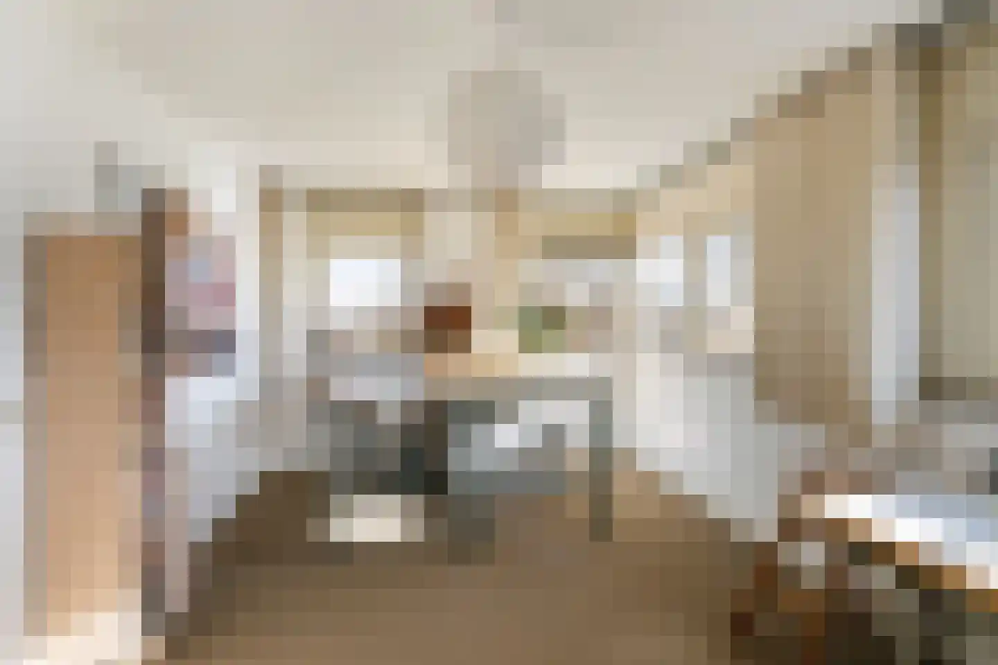 De Noorderhoek 15 Poeldijk thumbnail 42